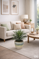 EDG Enzo De Gasperi | Bromelia Con Vaso