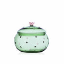 Ichendorf Contenitore Cactus in vetro borosilicato sui sfondo bianco