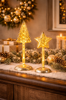 L'Oca Nera | Decorazione da appoggio con luce led