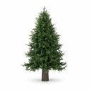 EDG Enzo De Gasperi | Albero di Natale Pino Luxury H 210 cm