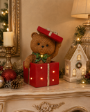 Timstor | Orso in Scatola Regalo con Luci Led
