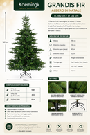 Kaemingk | Albero di Natale Grandis Fir - H. 180 cm