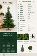 Kaemingk | Albero di Natale Grandis Fir - H. 210 cm