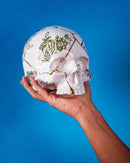 Teschio in Porcellana Kintsugi Skull Seletti