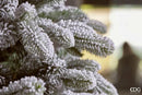 EDG Enzo De Gasperi | Albero di Natale Pino Merano innevato H 210 cm