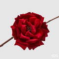 EDG Enzo De Gasperi | Rosa in velluto