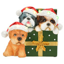 Timstor | Cagnolini con LED