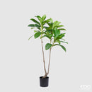 Pianta artificiale ELAEOCARPUS CHIC con vaso By EDG Enzo De Gasperi