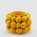 EDG Enzo De Gasperi | Vaso Porta Pianta Ceramica Giallo CHAKRA