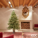 Albero di Natale 