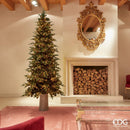 EDG Enzo De Gasperi | Albero di Natale Pino Luxury New Slim con 3000 Led  H 210 cm