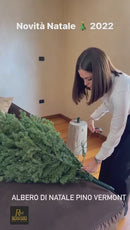 EDG Enzo De Gasperi | Albero di Natale Pino Vermont H 210 cm con LED