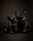 Statua in poliresina medium Collezione Bulldog RUGGIERO By Blogo Lifestyle