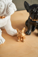 Statua in poliresina large Collezione Bulldog RUGGIERO By Blogo Lifestyle