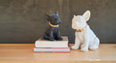 Statua in poliresina large Collezione Bulldog RUGGIERO By Blogo Lifestyle