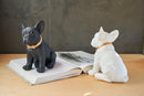 Statua in poliresina medium Collezione Bulldog RUGGIERO By Blogo Lifestyle