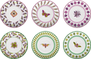 Servizio piatti 18 pz. in porcellana Collezione AMAZZONIA  By Baci Milano