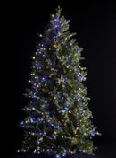 EDG Enzo De Gasperi | Albero di Natale Pino Vermont H 210 cm con LED