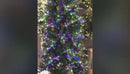 EDG Enzo De Gasperi | Albero di Natale Pino Vermont H 210 cm con LED