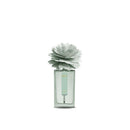 MUHÀ | Profumatore Ambiente Peony Diffusore