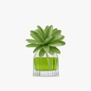 Muhà | Profumatore Ambiente Flower 60 ml con Fiore in Legno – 11 Fragranze