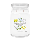 Candela Profumata Midnight Jasmine Yankee Candle