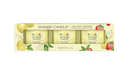 Candela Profumata Iced Berry Lemonade Yankee Candle