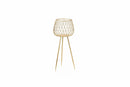 Fade | Cachepot Champagne Tropical Grande